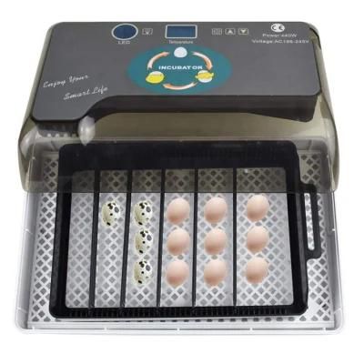 Retail Machine Poultry Eggs Equipment Quail Egg Incubator 6-36 Eggs