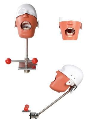 Dental Phantom Head with Typodont/ Clamp/ Holder, Dental Equipment