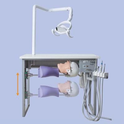 Desk Type Manikin Dental Simulator Manual Four Handed Operation