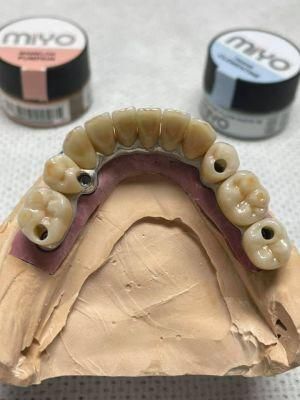 Implant Supported Full Ceramic Bridge/All on X/Malo Bridge/Hybrid Bridge