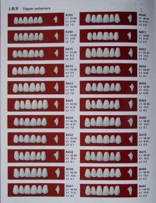 Synthetic Polymer Denture