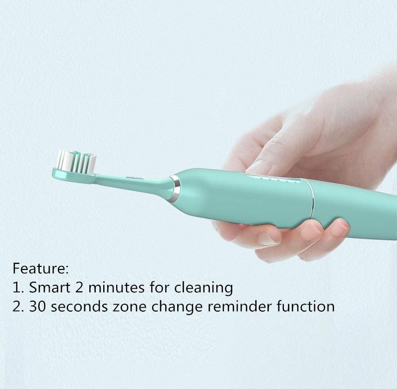 Electric Sonic Tooth Calculus Plaque Remover Tartar Ultrasonic Dental Scaler with Toothbrush