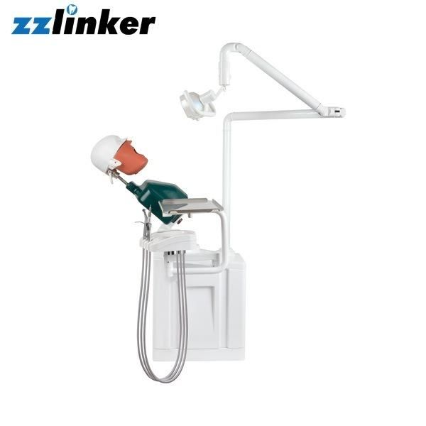 Lk-OS12 Full Automatic Dental Simulation System for Training Price