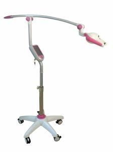 Dental Clinic Used LED Professional Lighting Ce Approved