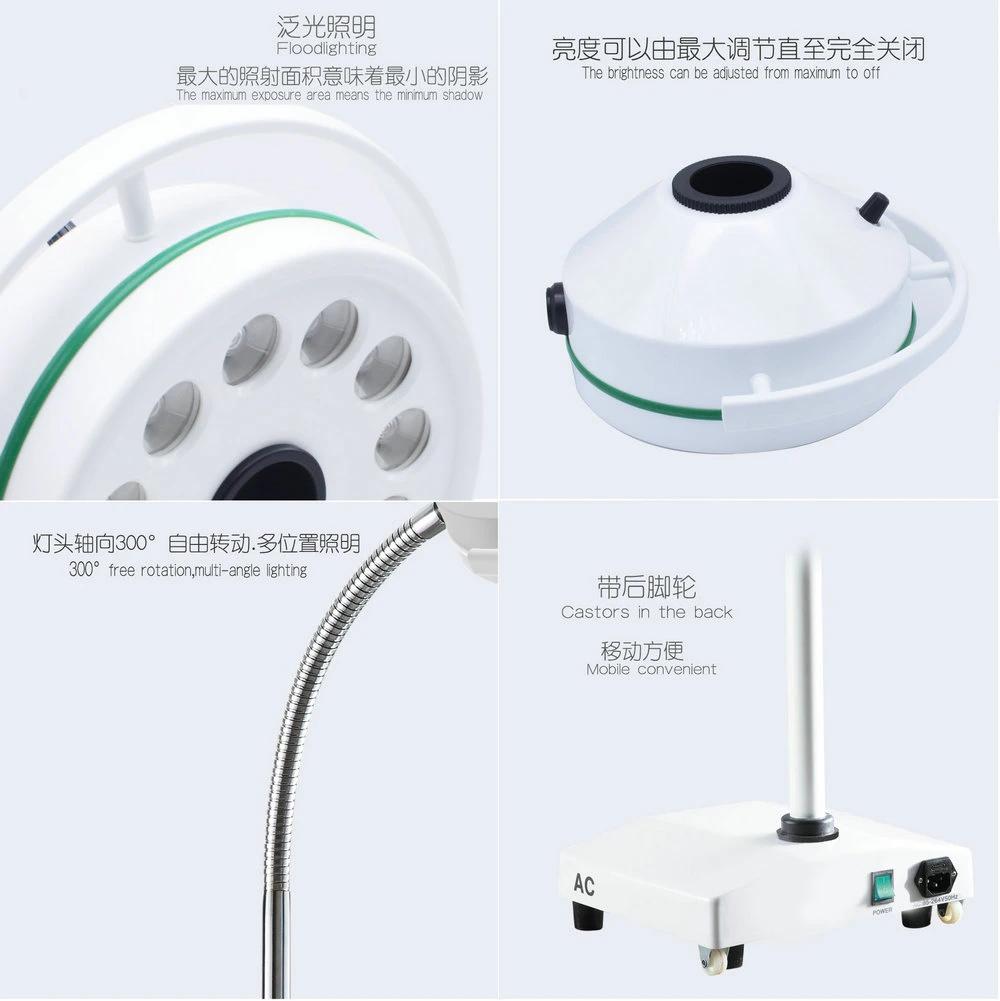 General Clinic Gynecologic Ophthalmology Cosmetic Pet Medical Movable Dental Surgery Lamp