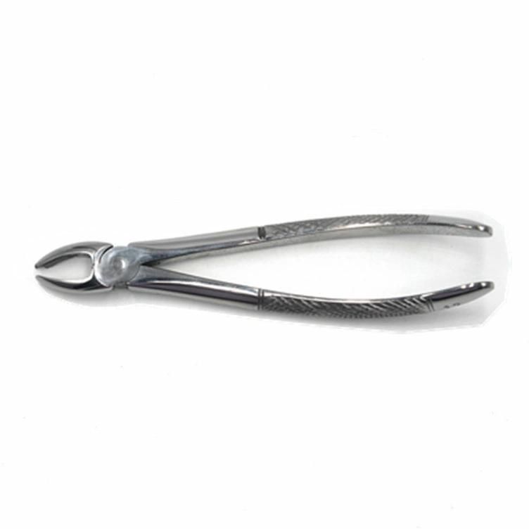 10PCS Oral Dental Surgery Instruments Kit Extracting Elevators Forceps