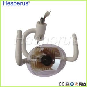 High Quality Dental Lamp for Oral Exmination
