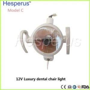 Oral Exmination Oral Dental Unit light