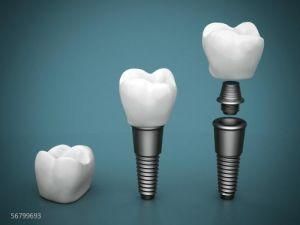 Dental Burs Dental Carbide Burs Diamond Clinic Kit