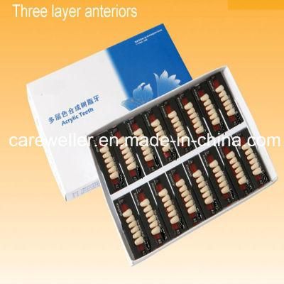 Multi Layer Synthetic Resin Teeth (Three Layer)