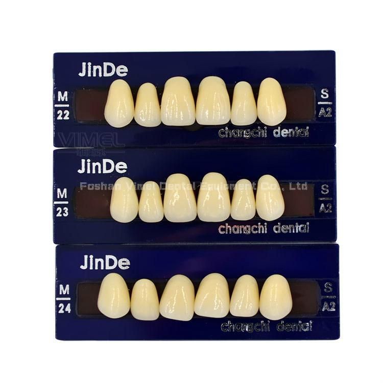 2-Layer Dental Synthetic Polymer Teeth Resin Teeth Acrylic Denture Teeth