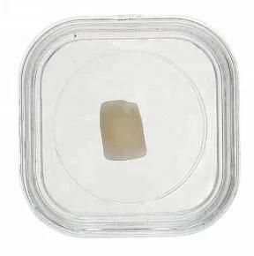 3.8*3.8*1.7 Cm Plastic Denture Box / Protect Teeth Membrane Box