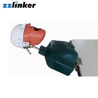 Lk-OS21 Dental Manikin Practice Head Mould with Body Price