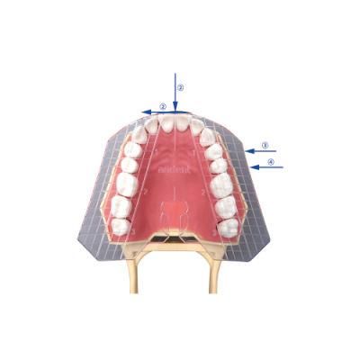 High Quality of Factory Guide Plate of Teeth