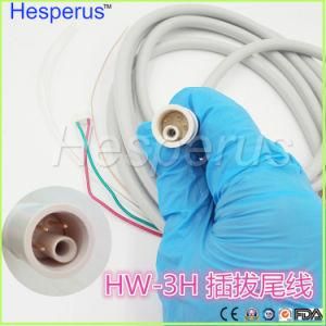 Original Woodpecker Detachable Handpiece Hw-3h Tubing