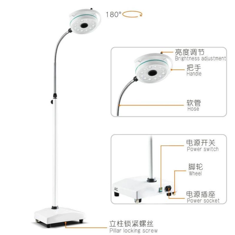 General Clinic Gynecologic Ophthalmology Cosmetic Pet Medical Movable Dental Surgery Lamp
