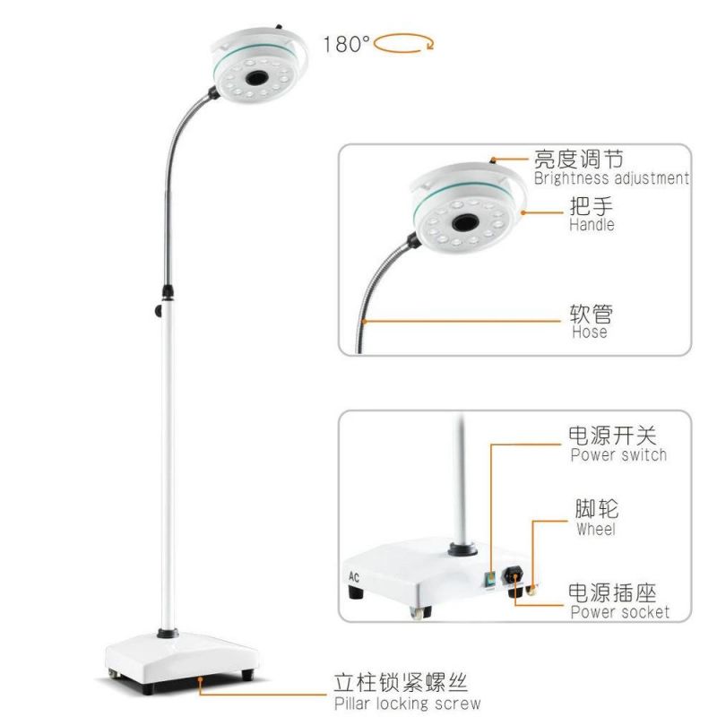 General Clinic Gynecologic Ophthalmology Cosmetic Pet Medical Movable Dental Surgery Lamp