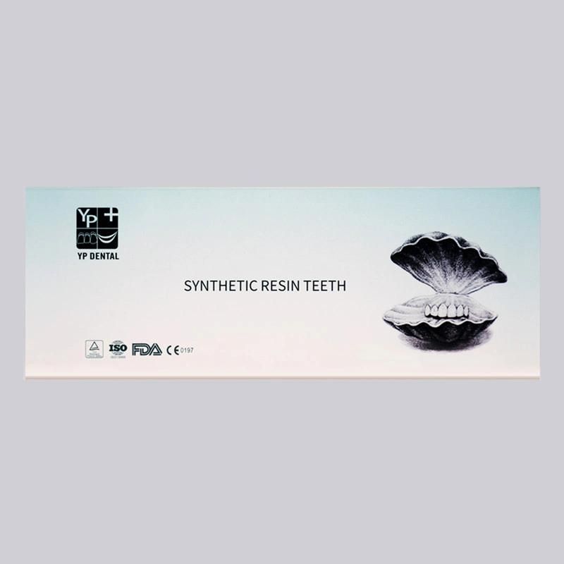 Dental Acrylic Resin Teeth Artificial Teeth