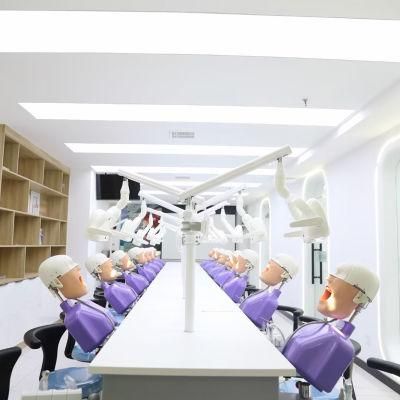 Double Teaching Manual Control Phantom Dental Simulation Unit