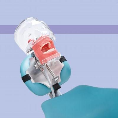 Transparent Head Teeth Mode Dental Simulator with Belt on Chair
