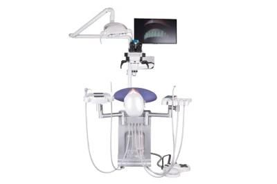 Electrical Control Height Manikin Dentist Practice Dental Training Simulators Model