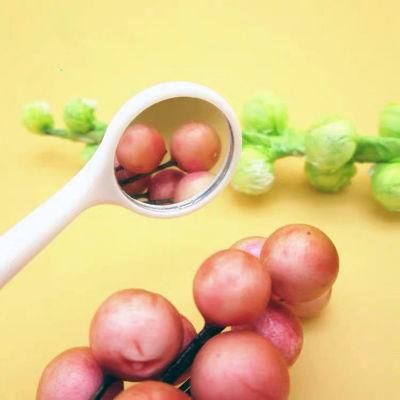 Intra Oral Teeth Treatment Use Dental Mini Mouth Mirror