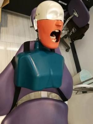 Dental Simulator Phatom Head for Teeth Operation Training