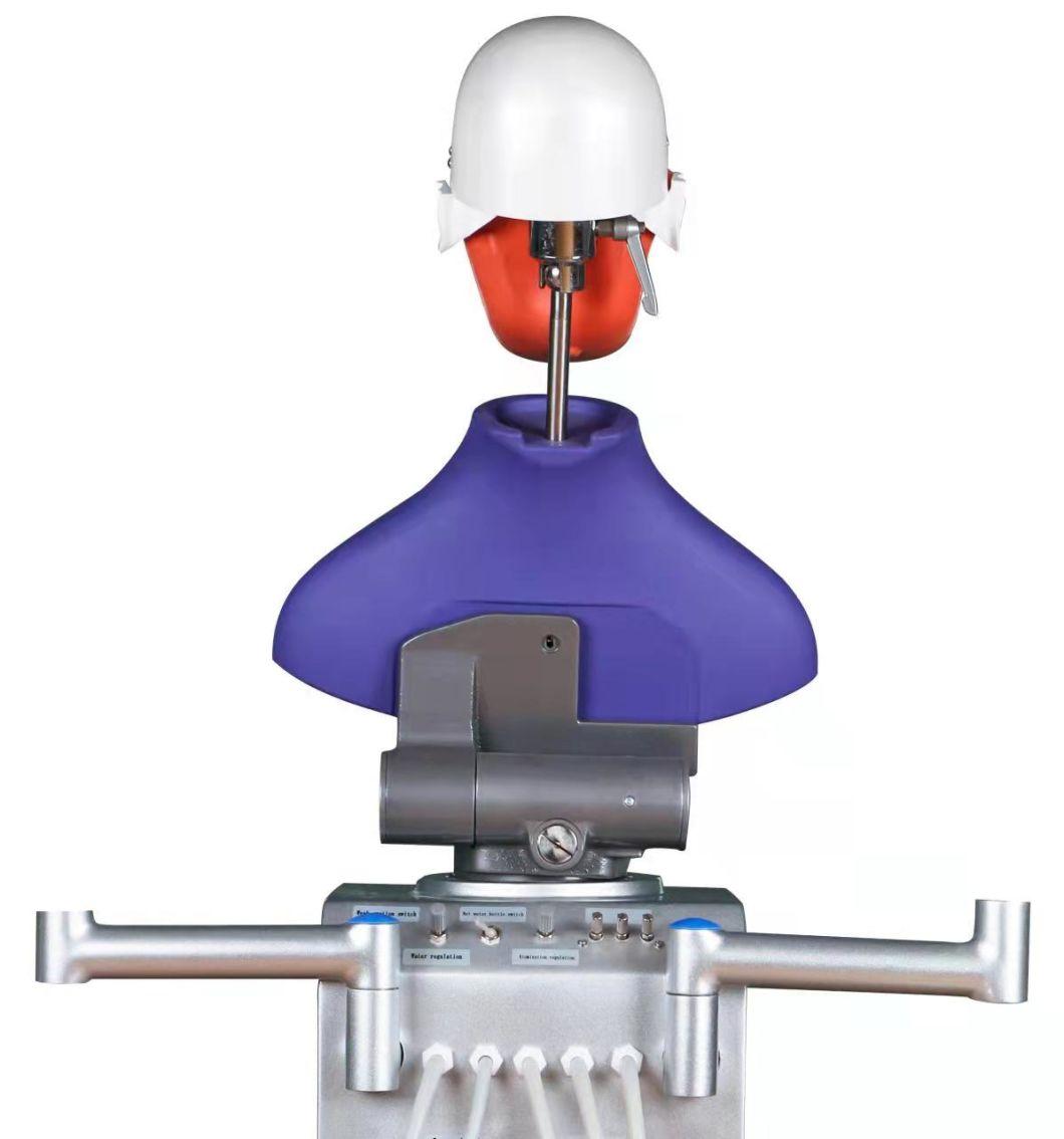 Dental Simulator/Dental Phantom Head/Training Model