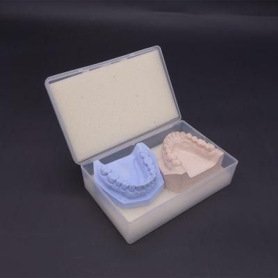 Denture Package Transportation Box with Teeth
