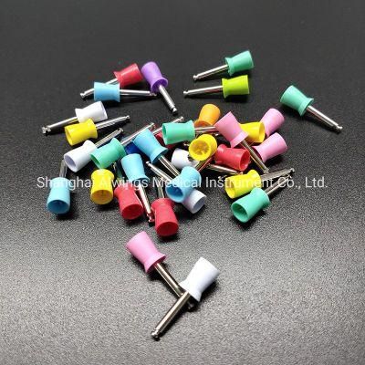 Dental Polishing Tools Dental Disposable Prophy Cups Latch Type