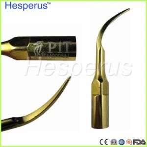 Dental Ultrasonic Scaler Tips Fits for Woodpecker Handpiece Ce Approved P1t