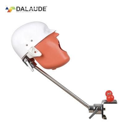 Good Quality and Best Price Phantom Head for Dental Education
