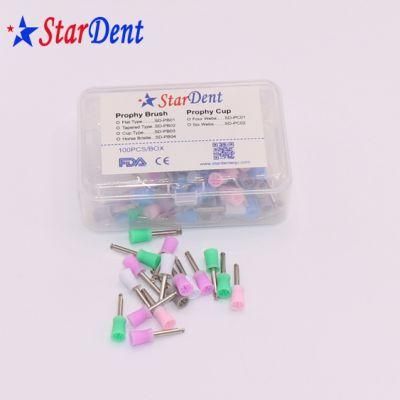 Dental Disposable Polishing Prophy Cup Factory Supplier