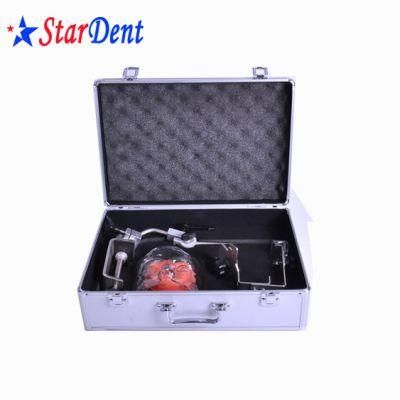 Hot Sale Dental Surgery Practice Model Phantom Head