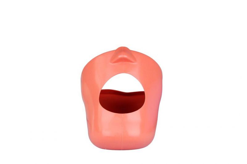 Dental Teaching Model Dental Phantom Head Manikin Simulator
