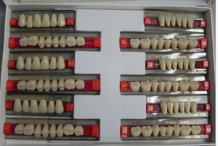 Factory Sale! ! ! 2022 Best Selling 2-Layer Dental Acrylic Teeth