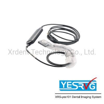 Factory Price USB Digital Dental X-ray Sensor Rvg Dental