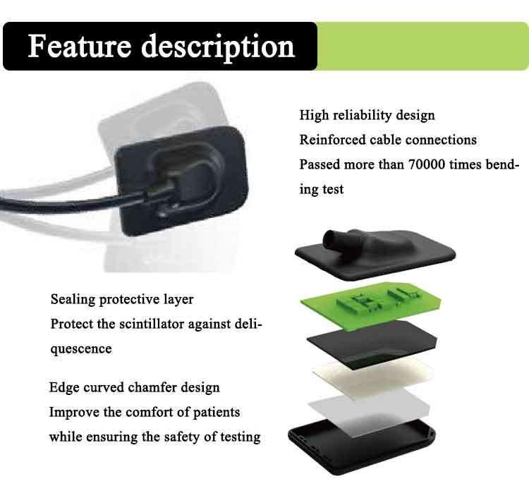 Hot Sale Direct Imaging Digital Dental Intraoral Xray Sensor