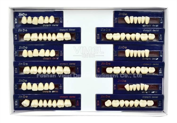 2-Layer Dental Synthetic Polymer Teeth Resin Teeth Acrylic Denture Teeth