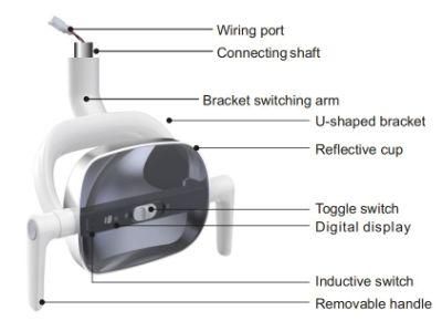 CE Foshan Dental Equipment Chair Oral LED Light