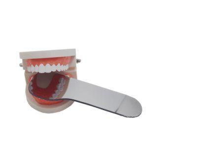 Implant Denture Tooth Model Orthodontic Teaching Model for Doctor-Patient Communication Oral Decoration