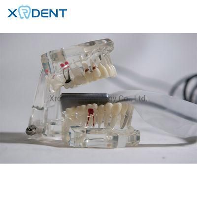 Sensor De Rayos X High Quality Medical Equipment Digital Dental X Ray Sensor