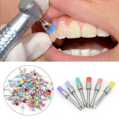 Colorful Dental Polishing Brush Prophy Cup for Dental Clinic