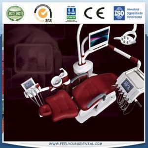 Luxury Ce Approved Dental Chair