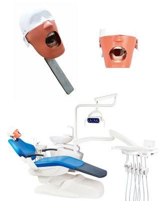 Operation Training Process Dental Manikin with Teeth Install with Dental Chair