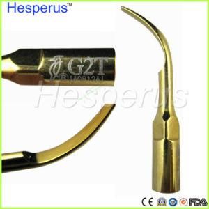 Dental Ultrasonic Scaler Tips G2t