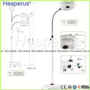 36W LED Surgical Medical Exam Light 12 Holes LED Floor Standing Examination Light Ce FDA Approval