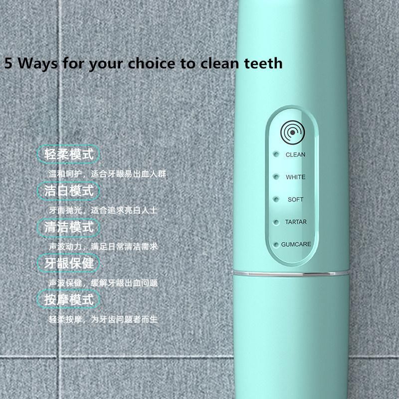 Electric Sonic Tooth Calculus Plaque Remover Tartar Ultrasonic Dental Scaler with Toothbrush