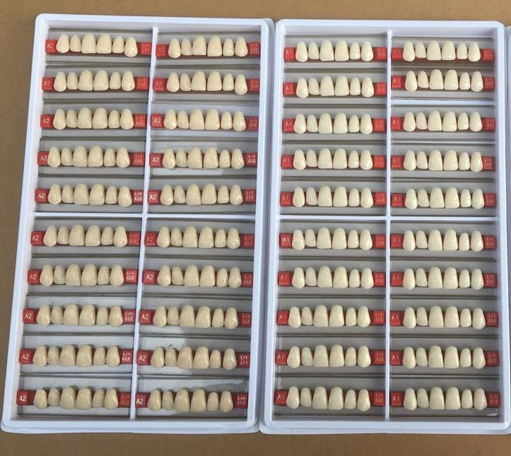 Factory Sale! ! ! 2022 Best Selling 2-Layer Dental Acrylic Teeth