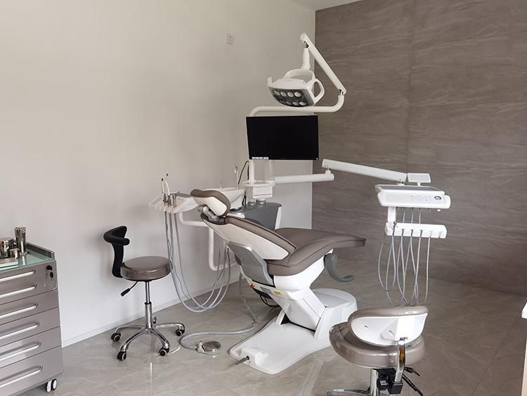 Luxury Dental Unit German Grade Safety Dental Chair